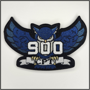 900 Cyber Protection Team - Patch