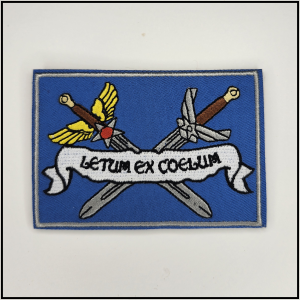 Letum Ex Coelum - Charity Patch - [product_type} - RLH Design Group