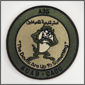 CAOC Strategy Division - Patch - [product_type} - RLH Design Group