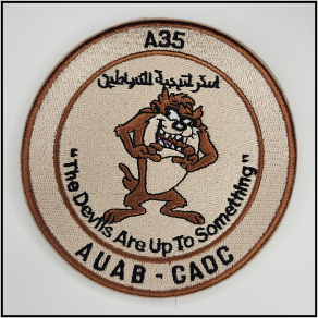 CAOC Strategy Division - Patch - [product_type} - RLH Design Group